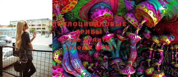 кристаллы Гусев
