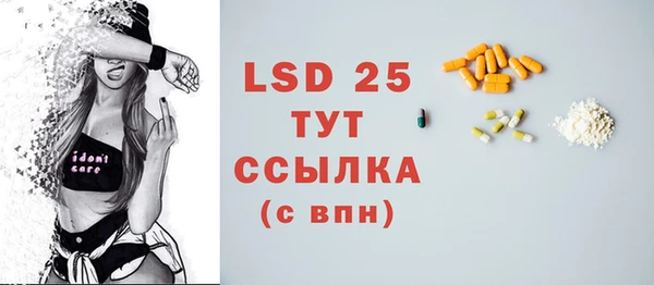 шишки Гусиноозёрск