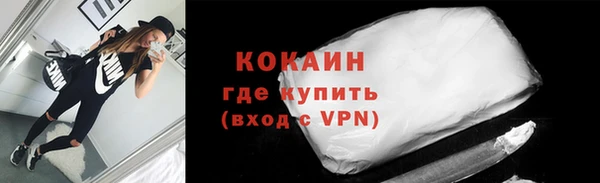 шишки Гусиноозёрск