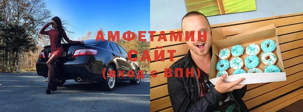 шишки Гусиноозёрск