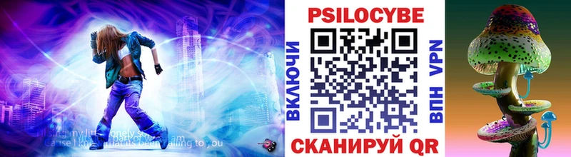 Псилоцибиновые грибы Psilocybe  Купить  Купино 